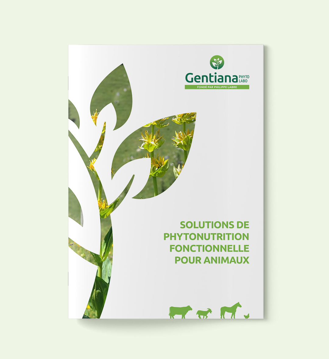 Audrey Lehembre - Gentiana brochure